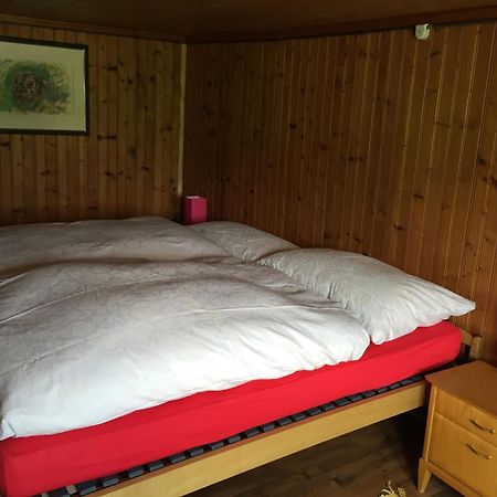 Wohlfuehloase Fuer Mensch Und Hund Bed & Breakfast Uzwil ภายนอก รูปภาพ