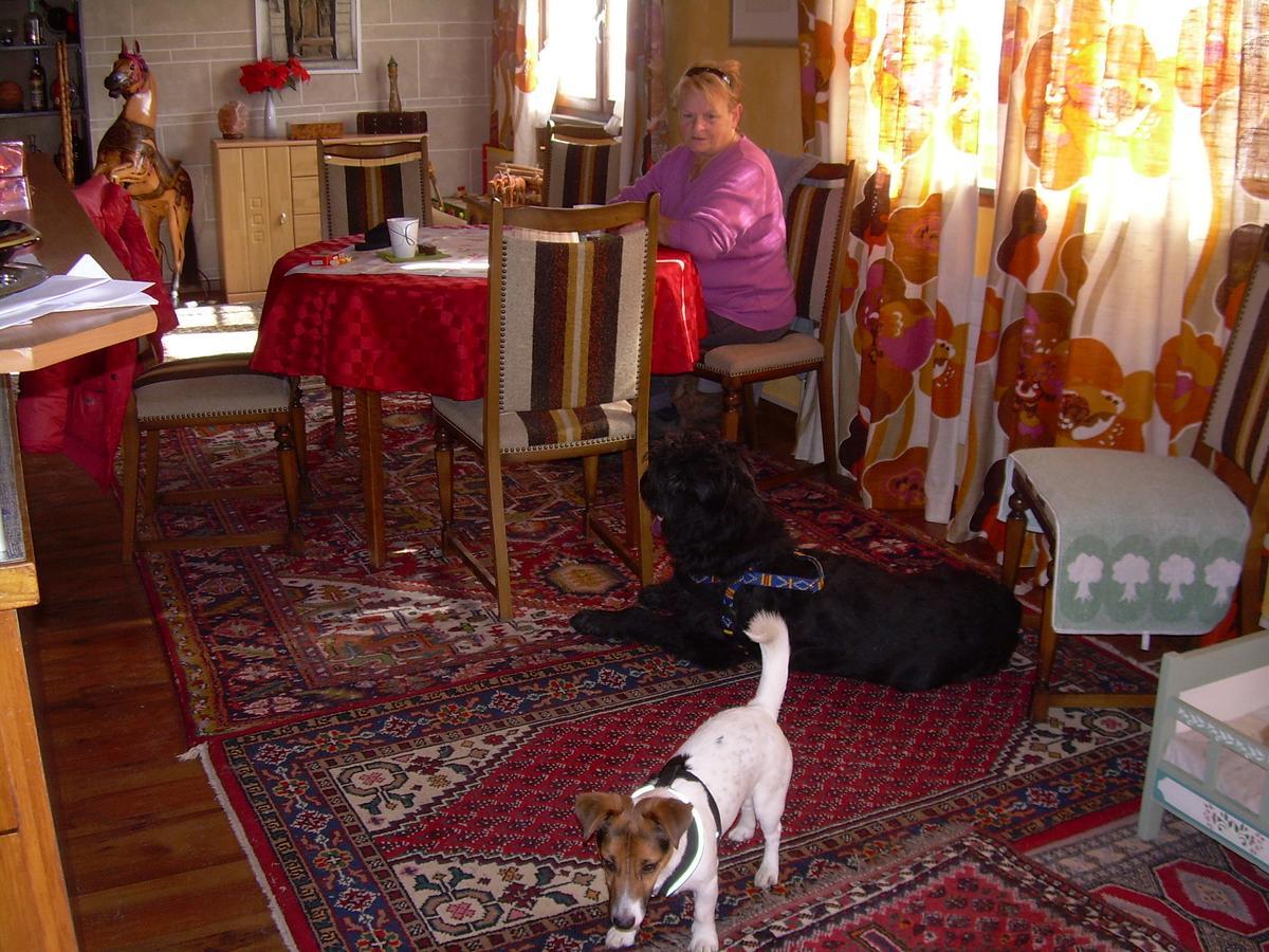 Wohlfuehloase Fuer Mensch Und Hund Bed & Breakfast Uzwil ภายนอก รูปภาพ