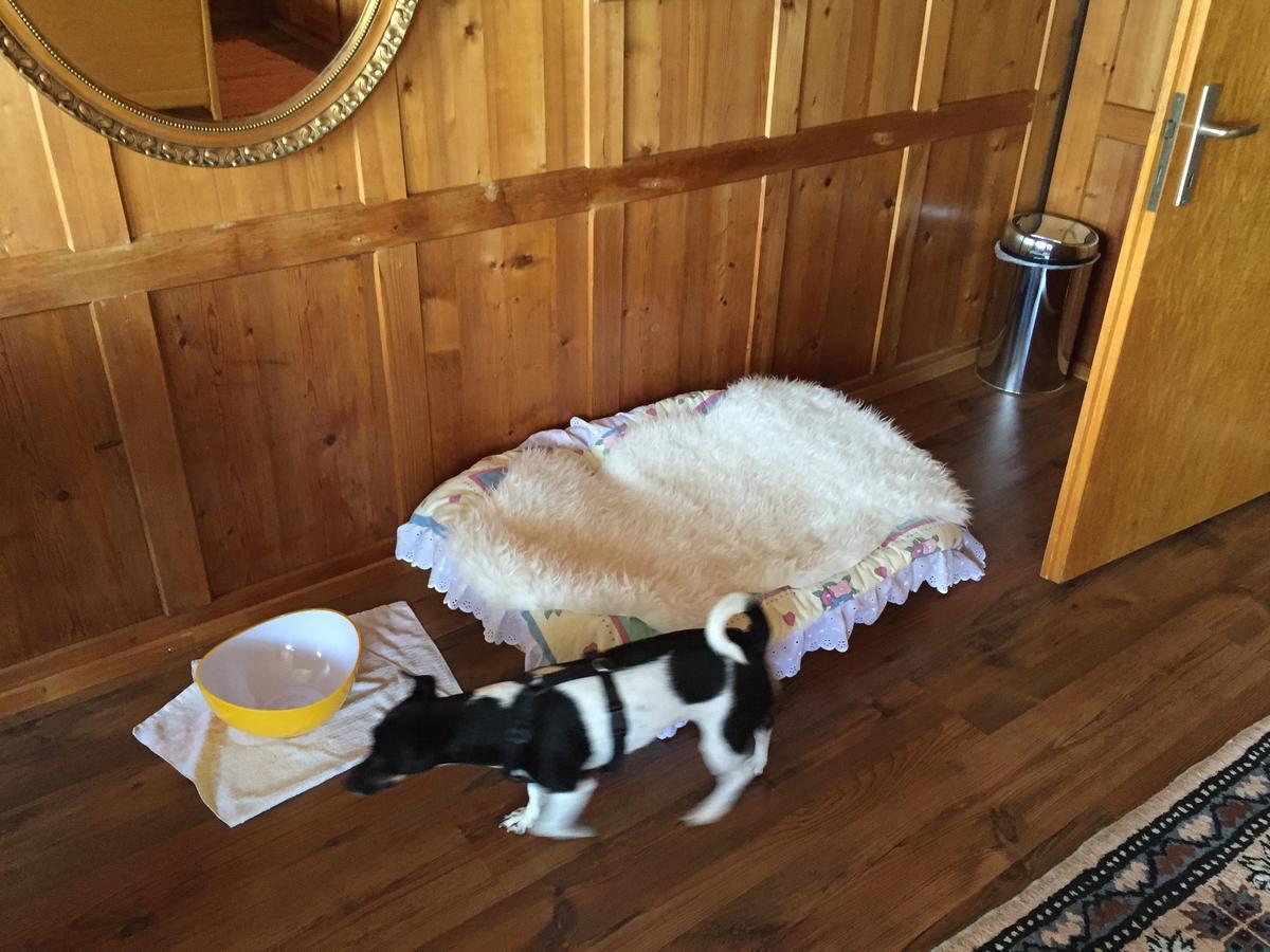 Wohlfuehloase Fuer Mensch Und Hund Bed & Breakfast Uzwil ภายนอก รูปภาพ