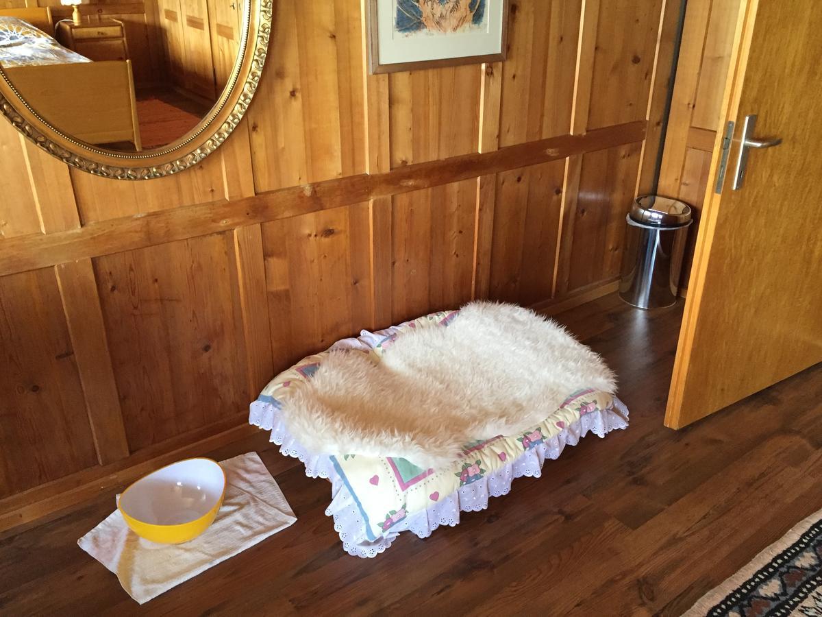 Wohlfuehloase Fuer Mensch Und Hund Bed & Breakfast Uzwil ภายนอก รูปภาพ