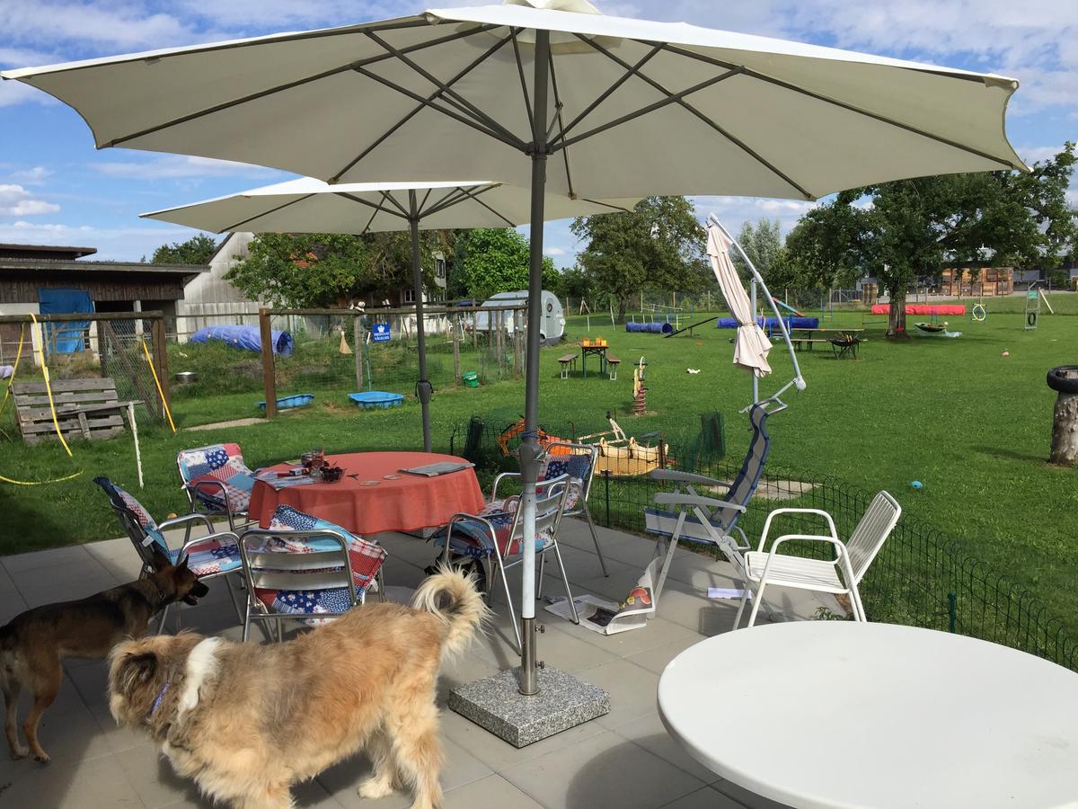 Wohlfuehloase Fuer Mensch Und Hund Bed & Breakfast Uzwil ภายนอก รูปภาพ